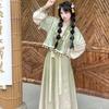 Chinese Tang Dynasty Style Hanfu Embroidered Jacket Tang Bei Zi And Skirt Suit For Women