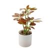 Real Touch 22cm Artificial Potted Plants Schefflera Octophylla Leaves Bonsai Plants Plastic Branch 3D Green Plant Potted Home