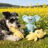 Pet Toy Bite-Resistant Sound Design Interactive Puppy Chew Toy Cartoon Design Teeth Oral Health Safe Chew Toy