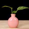 Mini Vase Ornament 7.5x6cm Ceramic Small Vase Dining Room Living Room Bathroom Desktop Decoration Vase Home Decoration Props
