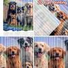 2D Flat Photography Backdrop Popular Background Banner Dogs In Garden 100% Polyester Anniversary for Holiday Portraits and