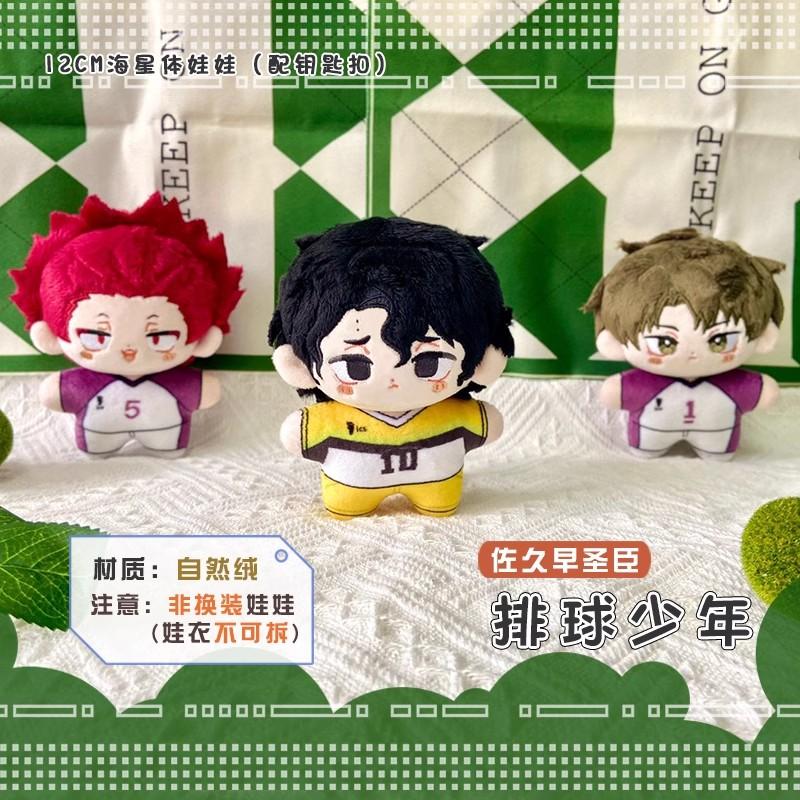 12Cm Ushijima Wakatoshi Plush Dolls Pendants Mini Soft Keychain Bag Haikyuu Kotaro Bokuto Stuffed Doll Toys Kids Holiday Gift
