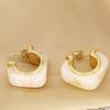 1 Pair Copper Acrylic Earrings 18K Gold Plated Hoop Earrings Resin Earrings  Daily Wear