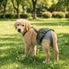 Breathable Mesh Dog Menstrual Panties Leak-Proof Dogs Diaper Dog Sanitary Panties  All-Season