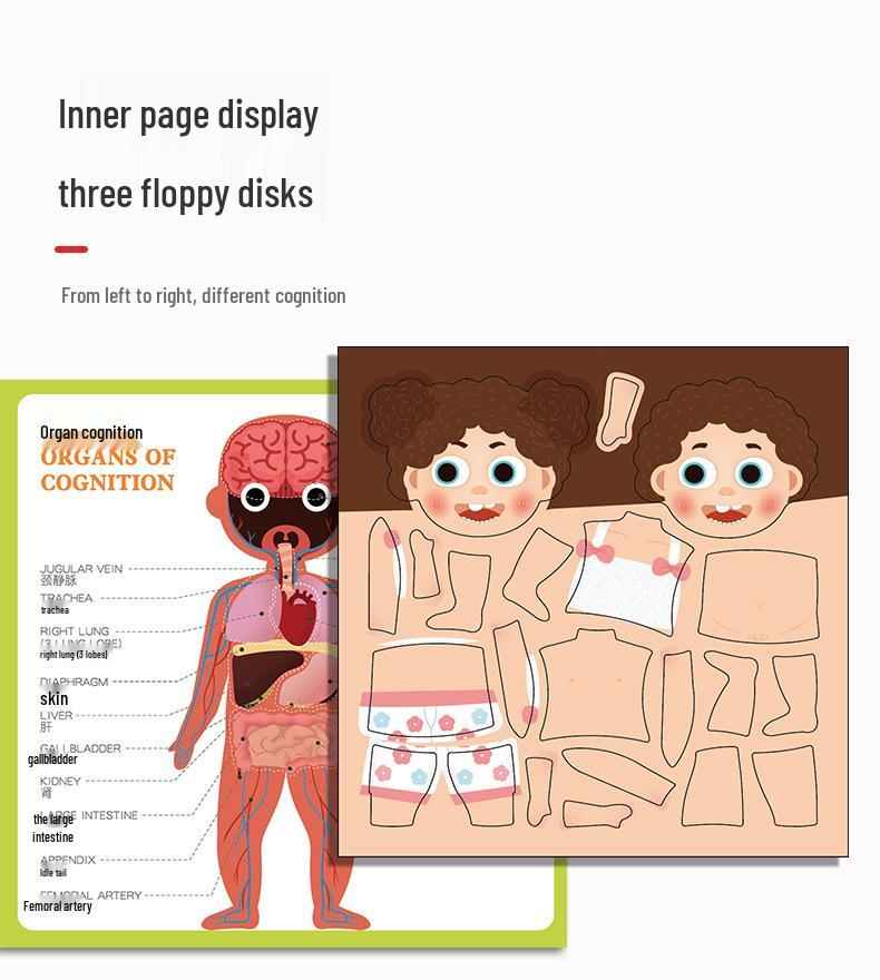 Magnetic Human Body Learning Book: Skeleton & Organs for Kids