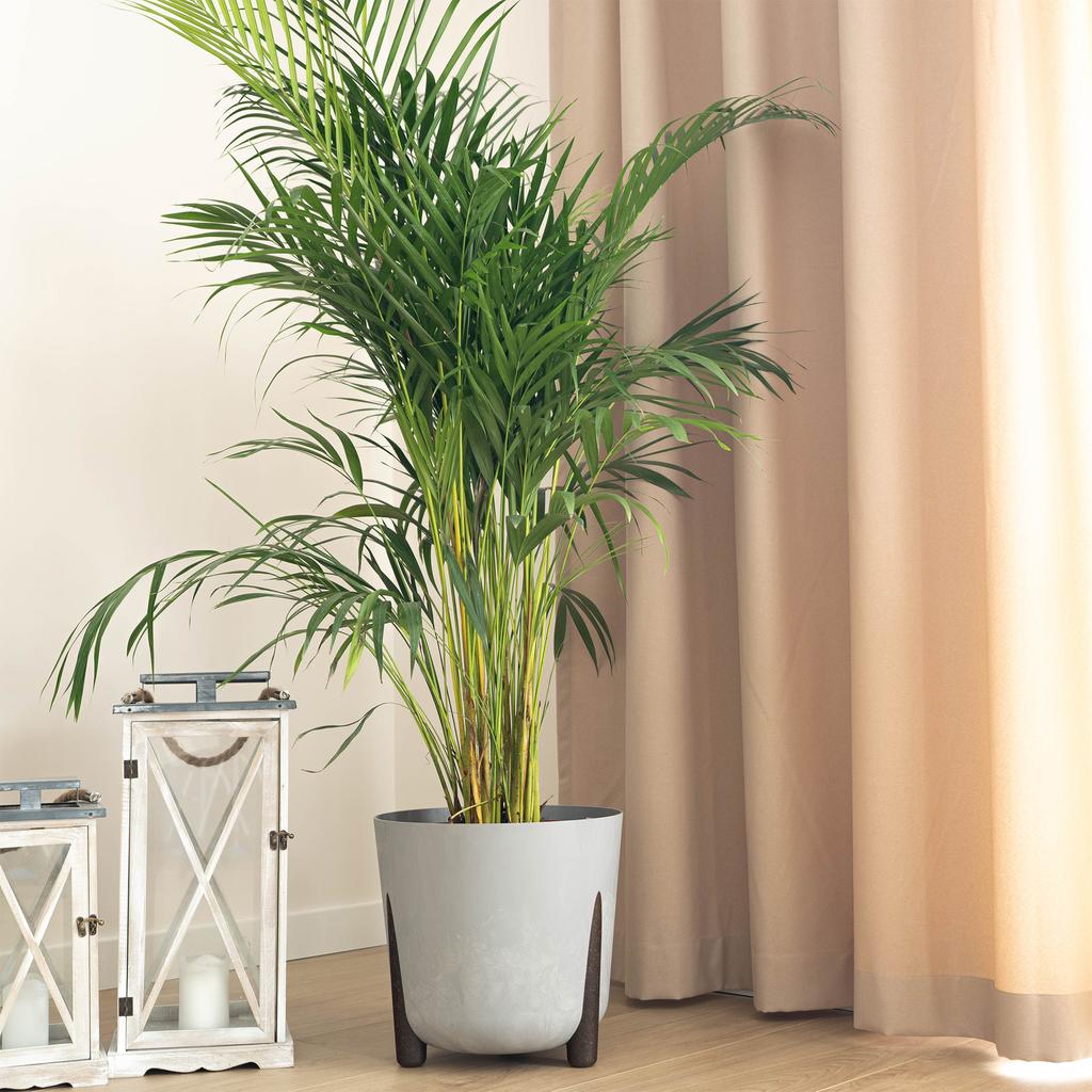 KADAX Flowerpot Flower Pot Leg Cover + Insert Flowerpot 18cm Gray