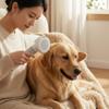 Dog Dryer Brush 2-in-1 Pet Hair Dryer with Brush Pet Grooming Blower Powerful 3-Speed for Dogs