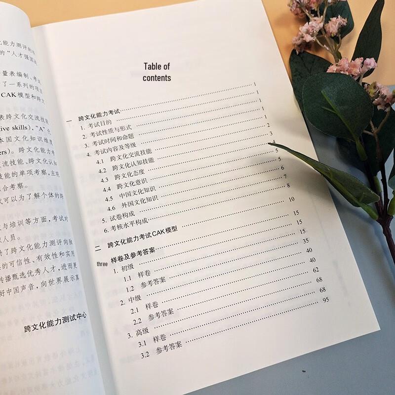 Intercultural Competence Exam Syllabus