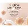 VEECCI - Oil Controlling Mist Soft Focus Setting Powder