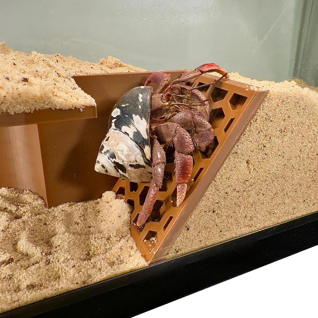 Hermit Crab Habitat Tunnel Cave Hidden Corner Environment Decoration Made Of Eco Friendly Resin For Reptile Tank Hide Setup