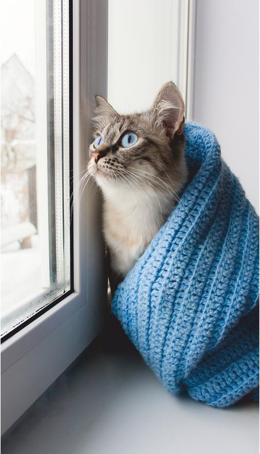 Картина-обогреватель "Кот у окна" на пленке Monocrystal 105x60 см 300 Вт