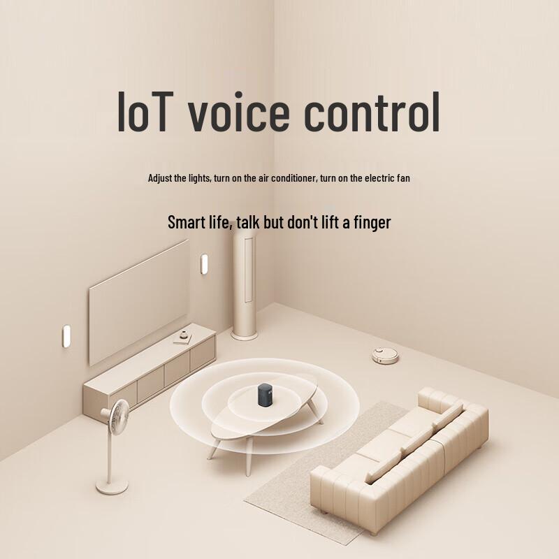 Xiaomi Xiaoai Smart Speaker Play Enhanced