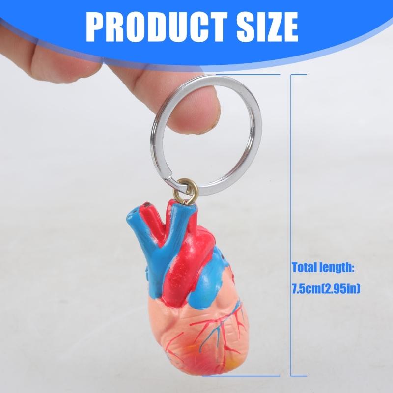 Porte-clés Imprimé en 3D Pendentif Structure Cardiaque Réaliste Outil d'Apprentissage Compact pour Salles de Classe Démonstrations Cliniques