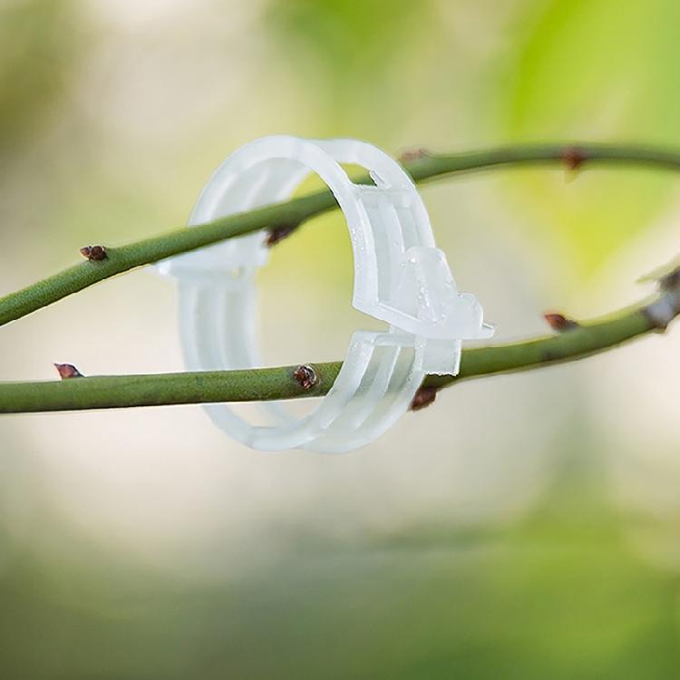 100pcs Functional Garden Plant Support Clips Practical Garden Clips For Securing Tomato Stem And Vegetable Plant