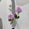 Long Branch Artificial Dahlia Flower 72cm Faux Flower New Hydrangea Flower  Home Interior