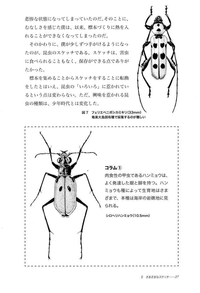 How To Draw Nature Observation Techniques II Insects