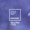 Pantone Mug (Berry Perry 17-3938 2022COY)