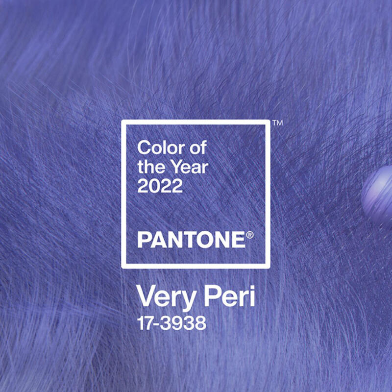 Pantone Mug (Berry Perry 17-3938 2022COY)