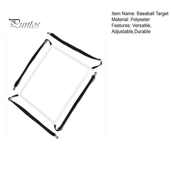 Baseball Strike Target Net Adjustable Strike Zone Accuracy Pitching Target for Baseball Lovers Training Hitting Throwing Batting Catching