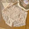 Quick-dry 3D Floral Lace Plus Size Womens  Sexy Mesh Panties Cotton Gusset