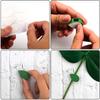 Plant Vine Traction Clip  Wall Fixing Clip Self-adhesive Hook