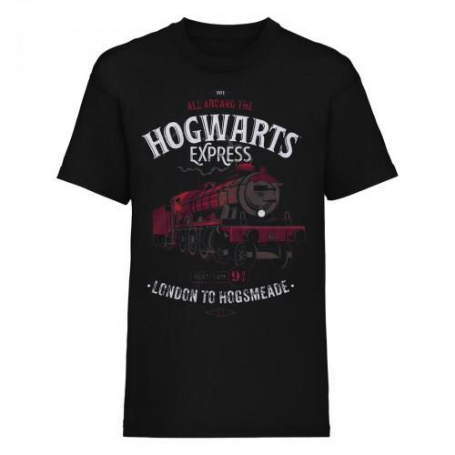 HARRY POTTER Unisex Adult All Aboard T-Shirt S