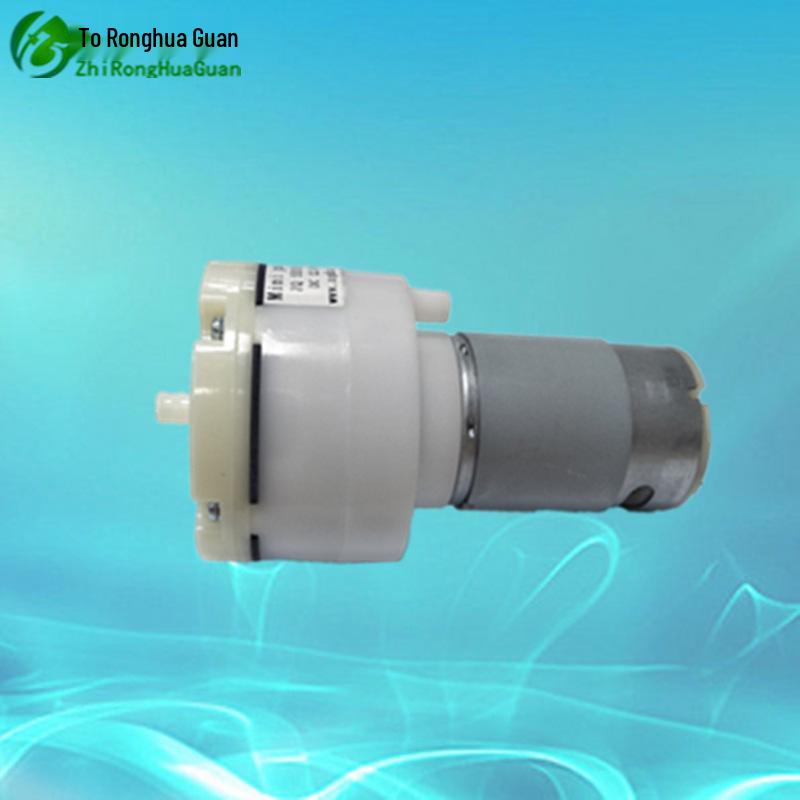 High Flow 12V/24V Mini Negative Pressure and Inflating Air Pump