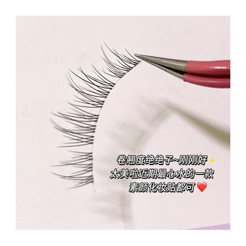 Aimo - 5-Pair Set: False Eyelashes
