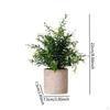 Plant Green -art Decor for Bedroom Inner Garden Terrace Balcony