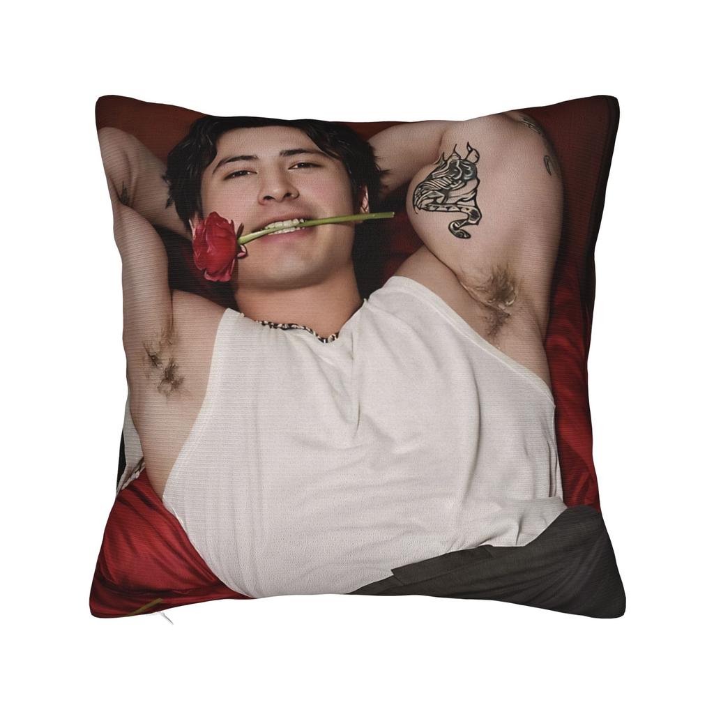 Pillow Cover Hudson Williams Connor Storrie Heated Rivalry Kawaii Pillow Case For Sofa Bedroom Home Decor Pillowcases