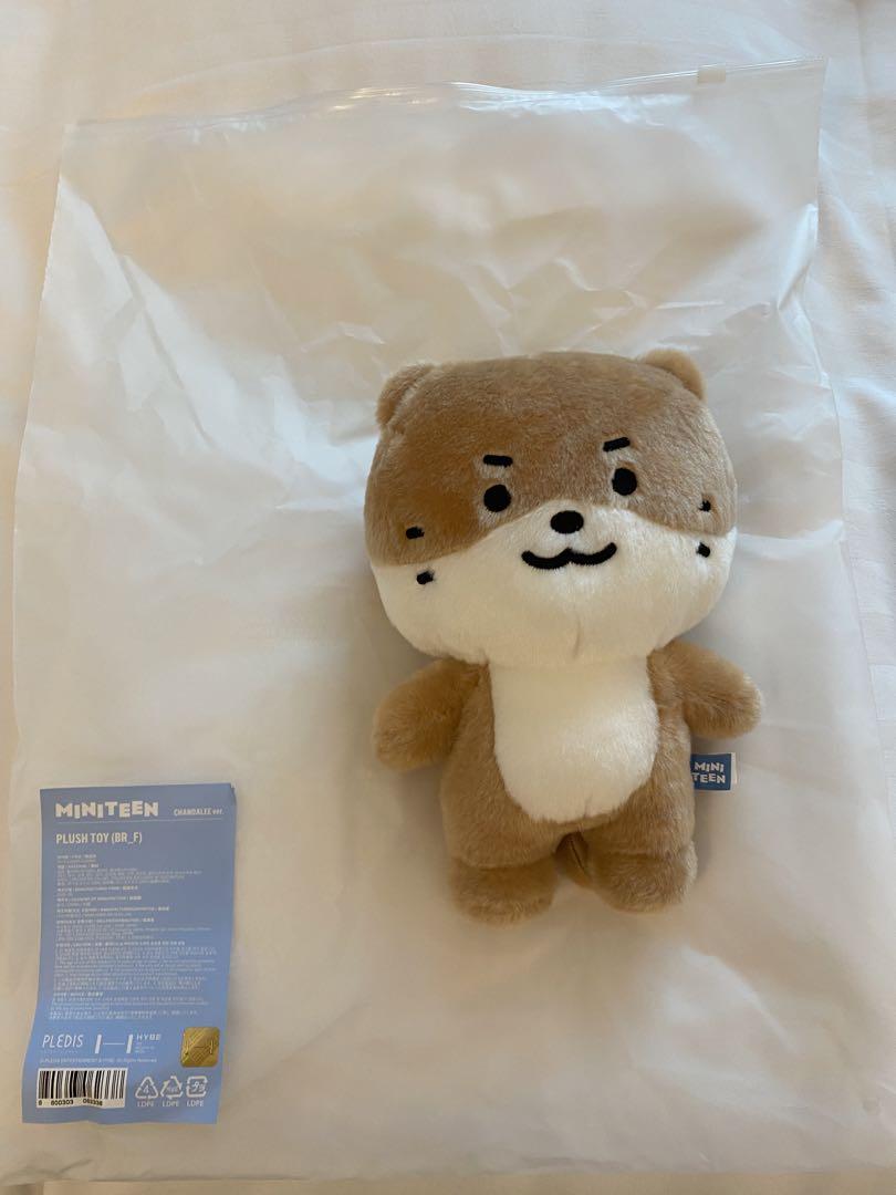 

[USED] SEVENTEEN Dino MINITEEN Pop-up Plush Toy