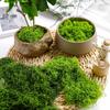 Mousse Verte Artificielle pour Plantes en Pot, Mousse Artificielle pour Plantes d'Intérieur, Mousse Artificielle pour Loisirs Créatifs Décor en Mousse Artificielle, Mousse Décorative DIY