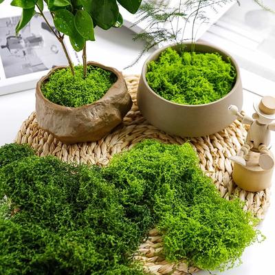 Fake Green Moss for Potted Plants, Fake Moss for Plants Indoor,Faux Moss for Crafts Artificial Moss Decor, DIY Decorative Moss