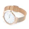SKAGEN SKW2633 [Parallel Import]