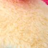 Sanrio Face-Shaped Cushion (Always Love Usahana) Usahana 344281