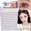 Lashy Large Capacity Glue-Free False Eyelashes: Natural Cat-Eye Elf Look with Transparent Band for Double Eyelid and Lower Lashes