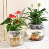 Desktop Hydroponic Fish Bowl - Clear Acrylic Fish Tank Plant Top, Small Betta Fish Plants Terrarium for Home and Office Plant Decoration