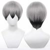 Short Anime Character Cosplay Perfect for Comic Market Cultural School and Other Includes Wig Gray/Black Wig, Accessory, Heat-Resistant Wig, Events,