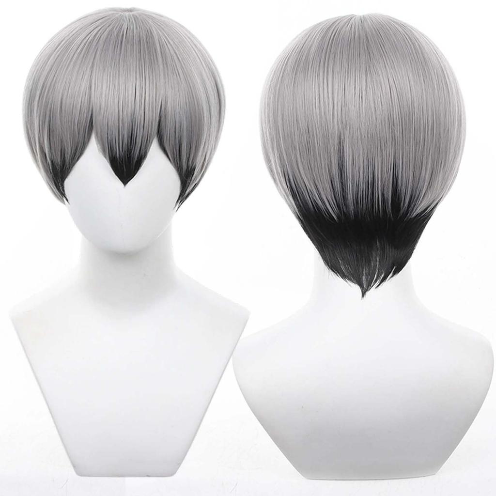 Short Anime Character Cosplay Perfect for Comic Market Cultural School and Other Includes Wig Gray/Black Wig, Accessory, Heat-Resistant Wig, Events,