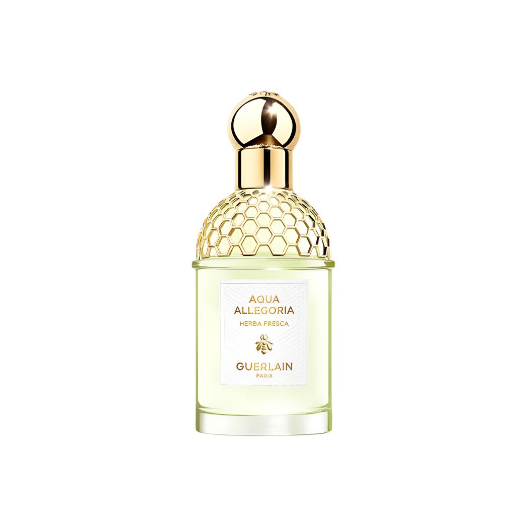Guerlain Aqua Allegoria Herba Fresca – Eau de Toilette 75ml
