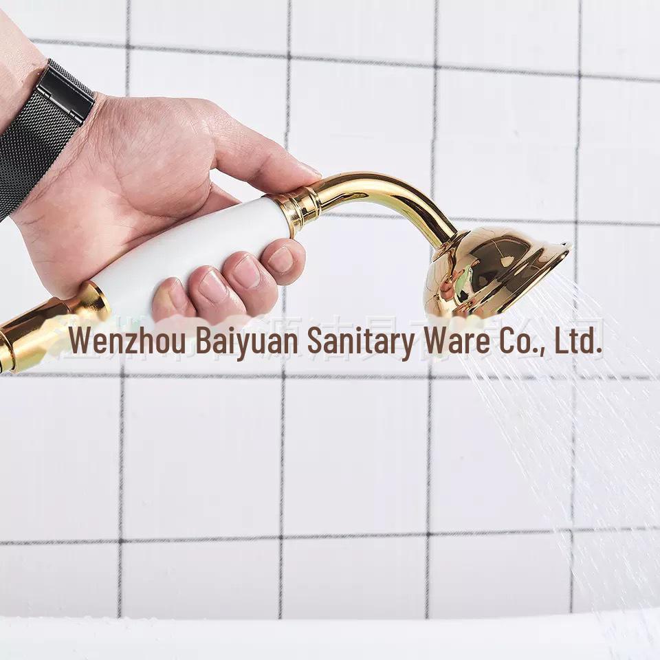 Rose Gold Stainless Steel European-Style Handheld Shower Head with Antique Black Finish