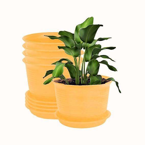 

Plastic Round Flower Pots with Tray for Home Planters, Terrace, Garden Etc | Pack of 05 | Yellow | Size 8 Inch | for Home Indoor & Outdoor