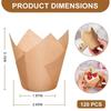 120pcs Cupcakes Liners Tulips Bakings Cups Muffins Cup Simple and Elegant Cake Wrapping Paper Kitchen Bakings Supplies