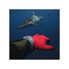 Freestyle Shark Classic Tide 600 Surfing Waterproof Watch, 100m Water Resistant, Marine Sports Watch, 101149 BLK (POS)