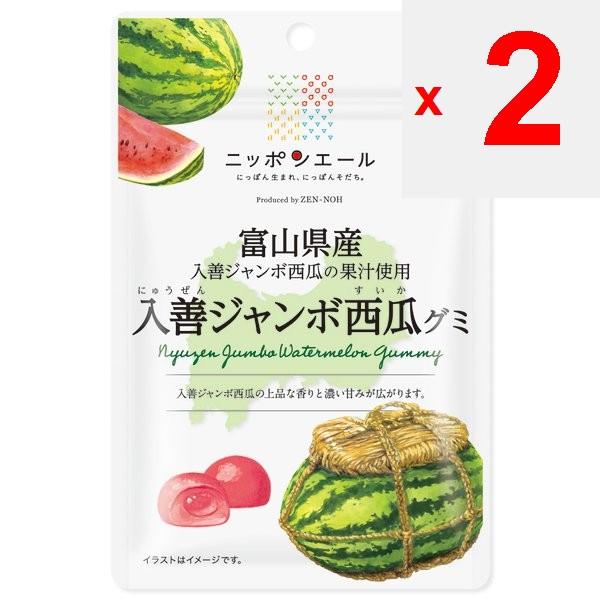 JA Nippon Ale Toyama Irizen Jumbo Watermelon Gummies 40gNippon Ale Brand with the Catchphrase Nippo Nippon Ale Brand with the Catchphrase Nippon-born,