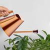Garden Watering Can 900ML Stainless Steel Plant Watering Can Plant Waterer Golden Plant Watering Watering Devices For Indoors