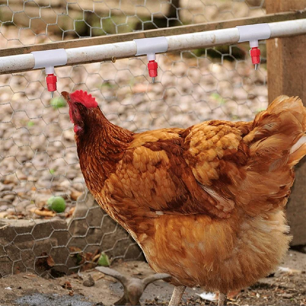 20PCS 1/2" PVC Tee Automatic Poultry Waterer Drinker Cups Chicken Water Nipples