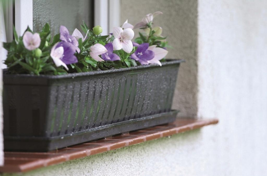 Balcony Box Anthracite Agro 40 Cm