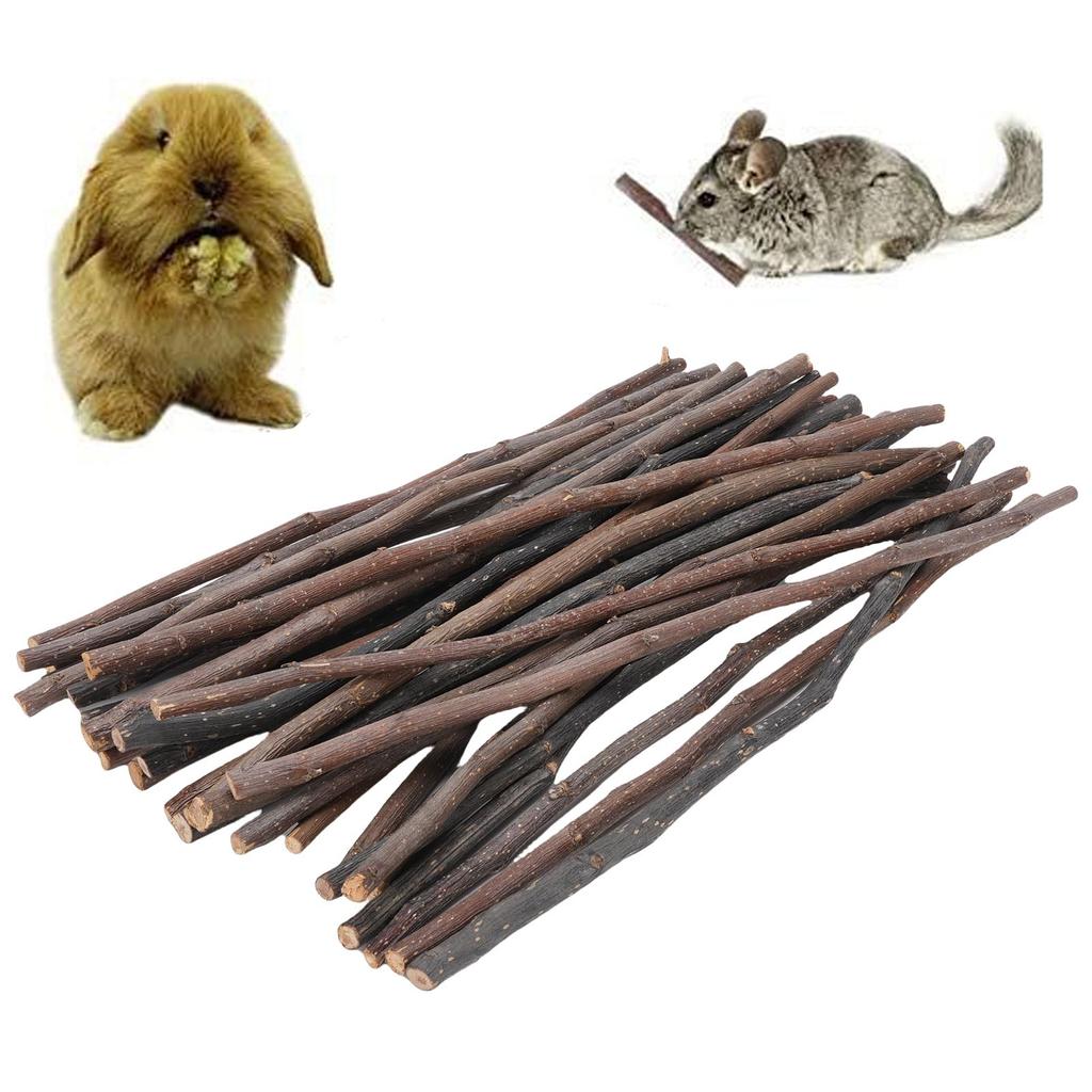 30Pcs Bunny Chew Stick Fruit Tree Animal Chewing Branch for Small Rodents Oral Health Improvement