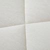 Faunen Premium Xinjiang Cotton Winter Quilt